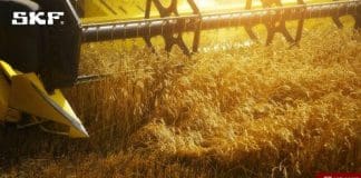 Challenges in the Field