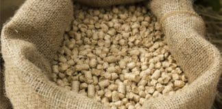 NSK Triple-Lip Sealed Bearing Units save €13,000 a year at animal feed plant