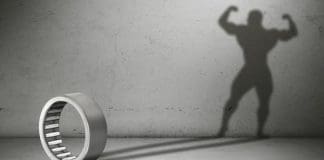 The hidden side of needle roller bearings