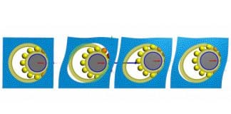 Further integration of FEA calculations with Shaft Calculation Software