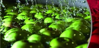 NSK solutions for the food and beverage industry