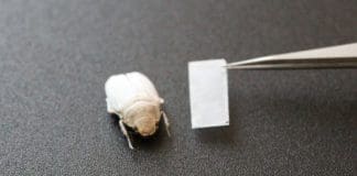 New Materials: Brilliant White without Pigments