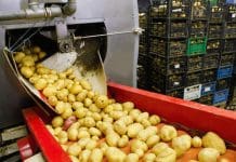 NSK triple lip seal provides ultimate bearing protection