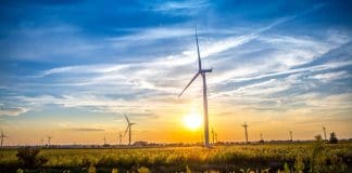 Liebherr blade bearings for tomorrow’s service operations