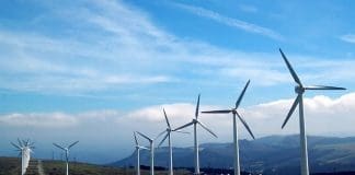 High Quality Balls for Wind Mill Bearings