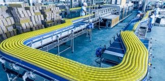 How-to Guide: Designing Conveyors with Plastic Modular Belts