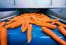 100% FDA Custom Timing Belts: Hygienic and Customized Solutions for The Food Industry